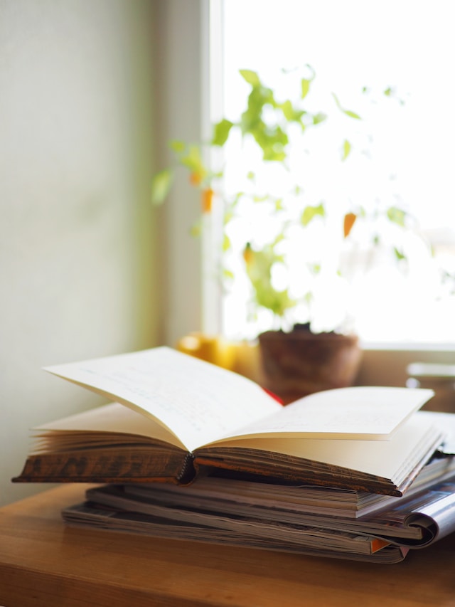 Open book on a wooden table near a window with natural light and a plant in the background, symbolizing knowledge, learning, and wisdom