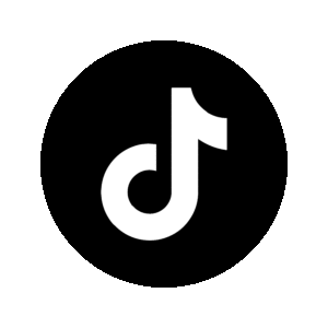 tiktok icon 